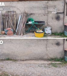 14FE8AEA-9429-4D2E-99D8-CDB674FB8AE8